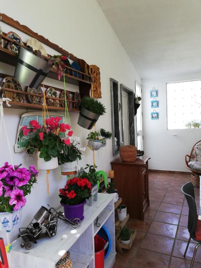 Moradia No Seixal Ericeira Hotel Eksteriør billede